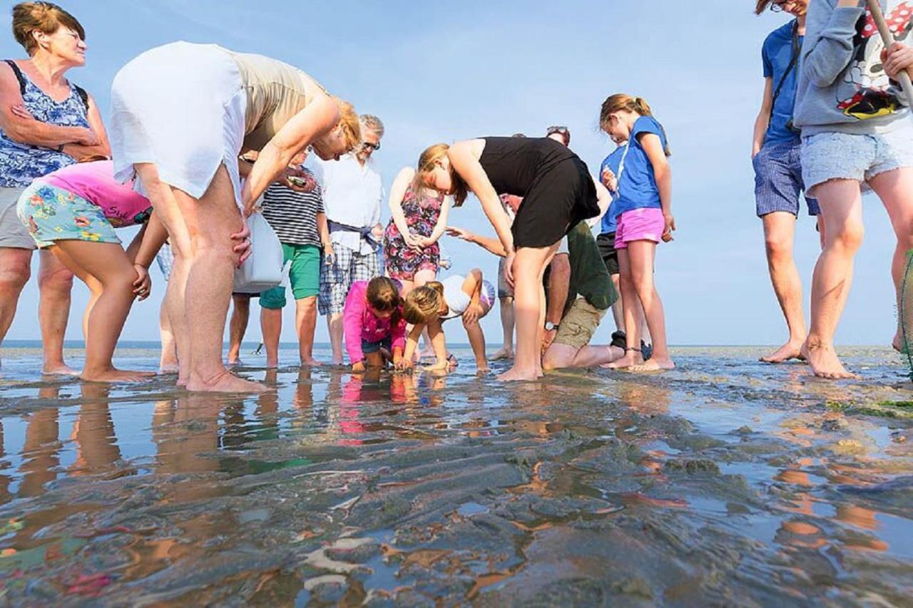 Chalet Op Camping Lauwersoog Met 3 Slaapkamers En Vaatwasser - Joycasa Exterior foto