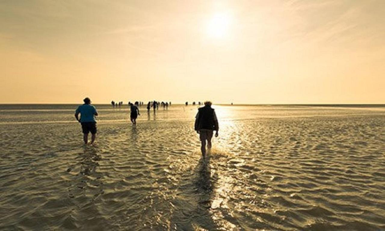 Chalet Op Camping Lauwersoog Met 3 Slaapkamers En Vaatwasser - Joycasa Exterior foto